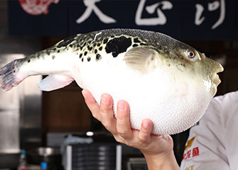 long8-��8(����)Ψһ�ٷ���վ