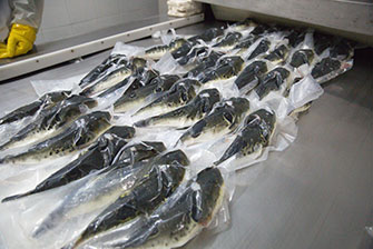 long8-��8(����)Ψһ�ٷ���վ