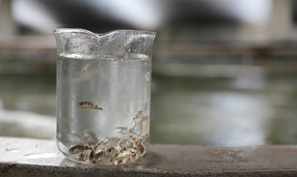 long8-��8(����)Ψһ�ٷ���վ