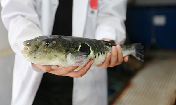 long8-��8(����)Ψһ�ٷ���վ