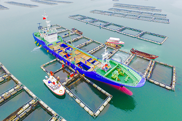 long8-��8(����)Ψһ�ٷ���վ