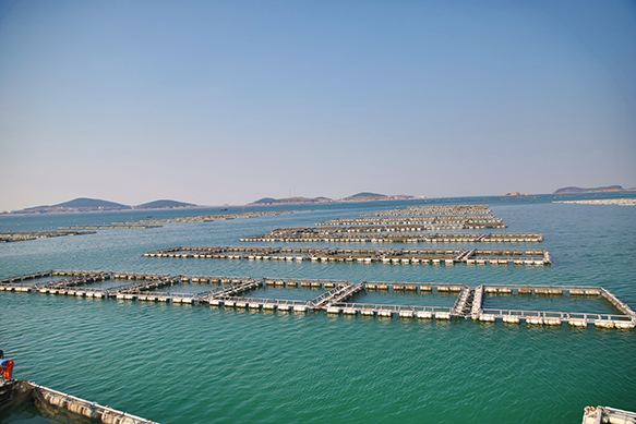 long8-��8(����)Ψһ�ٷ���վ