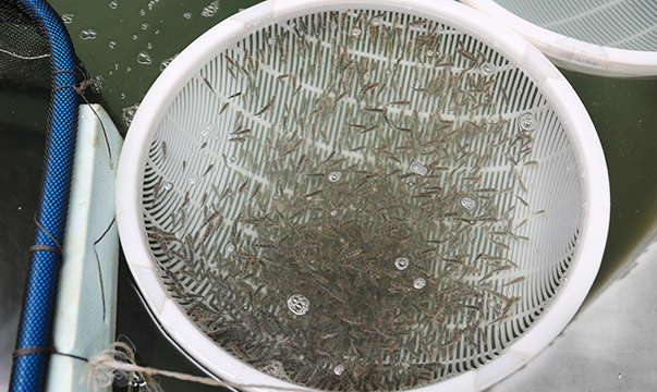 long8-��8(����)Ψһ�ٷ���վ