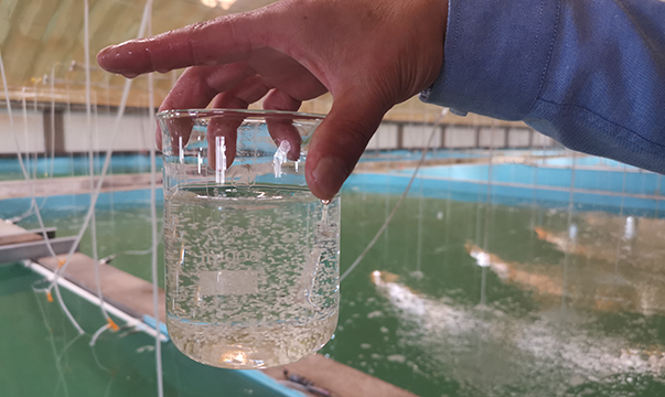 long8-��8(����)Ψһ�ٷ���վ