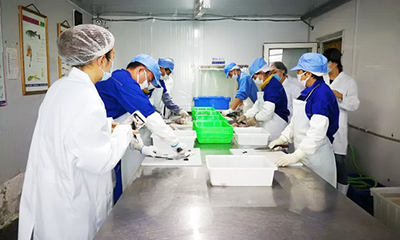 long8-��8(����)Ψһ�ٷ���վ