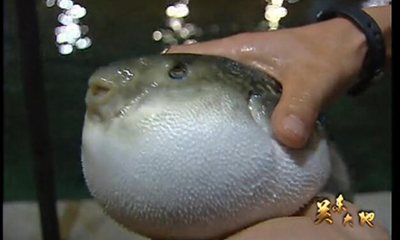 long8-��8(����)Ψһ�ٷ���վ