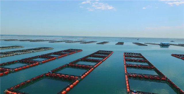 long8-��8(����)Ψһ�ٷ���վ