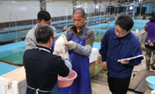 long8-��8(����)Ψһ�ٷ���վ