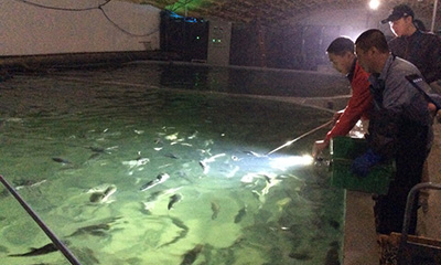 long8-��8(����)Ψһ�ٷ���վ