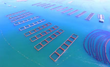 long8-��8(����)Ψһ�ٷ���վ