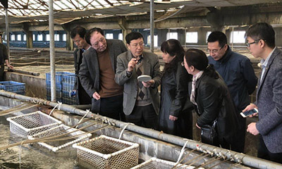 long8-��8(����)Ψһ�ٷ���վ