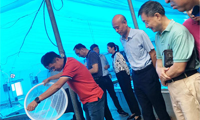 long8-��8(����)Ψһ�ٷ���վ