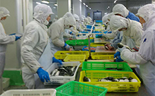 long8-��8(����)Ψһ�ٷ���վ