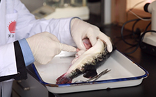 long8-��8(����)Ψһ�ٷ���վ