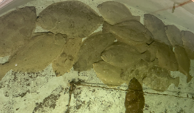 long8-��8(����)Ψһ�ٷ���վ