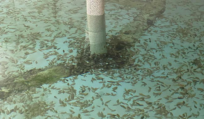 long8-��8(����)Ψһ�ٷ���վ