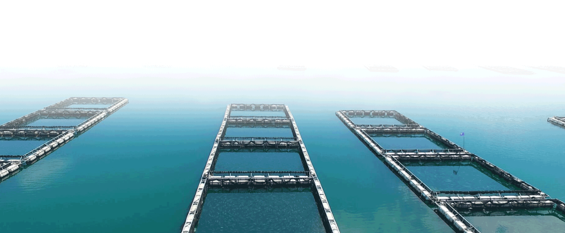 long8-��8(����)Ψһ�ٷ���վ