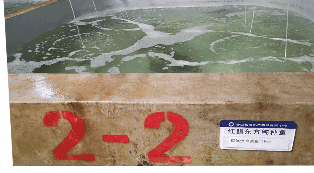 long8-��8(����)Ψһ�ٷ���վ