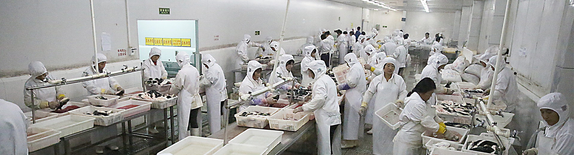 long8-��8(����)Ψһ�ٷ���վ