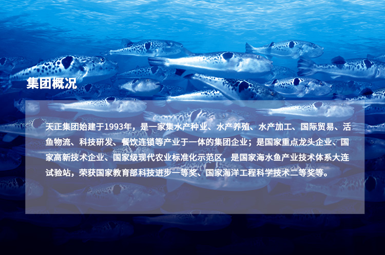 long8-龙8(国际)唯一官方网站