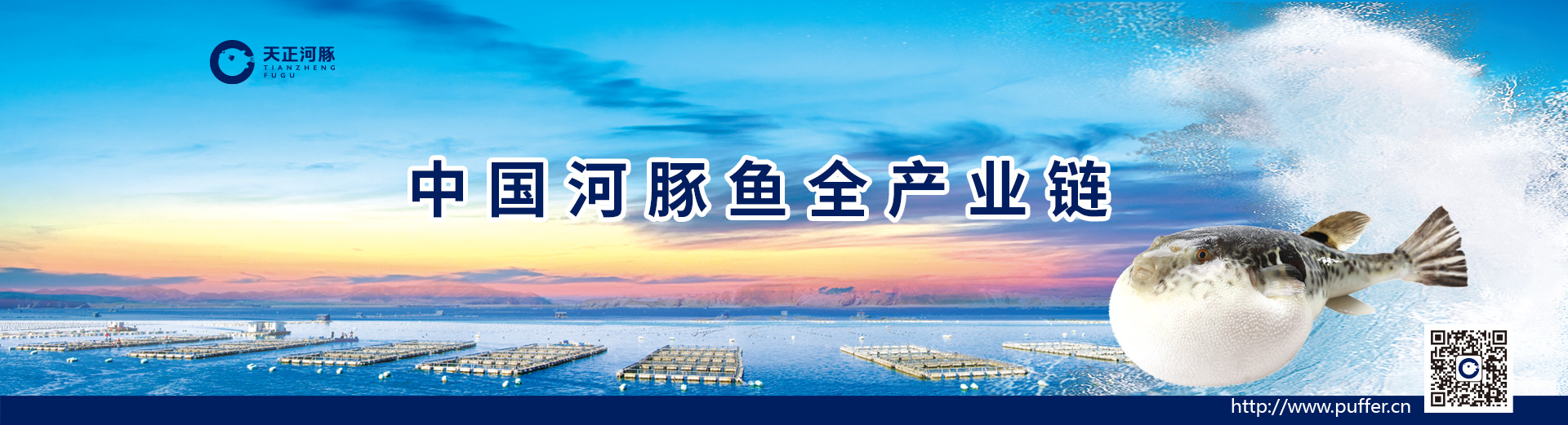 long8-��8(����)Ψһ�ٷ���վ