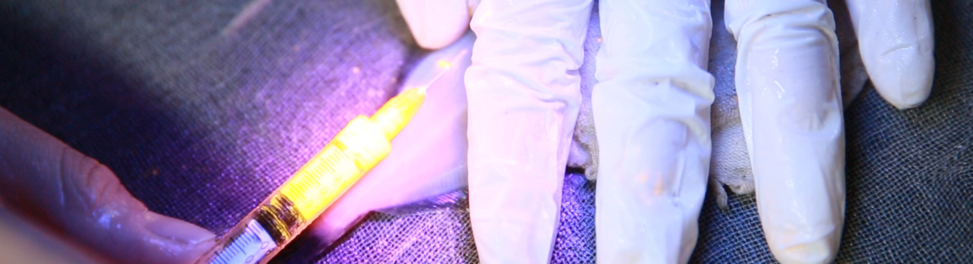 long8-��8(����)Ψһ�ٷ���վ