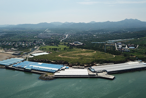 long8-��8(����)Ψһ�ٷ���վ