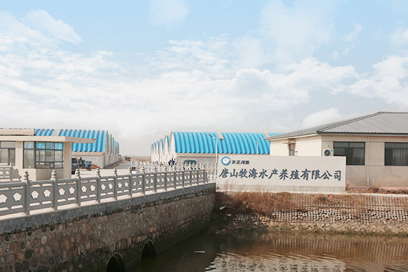 long8-��8(����)Ψһ�ٷ���վ