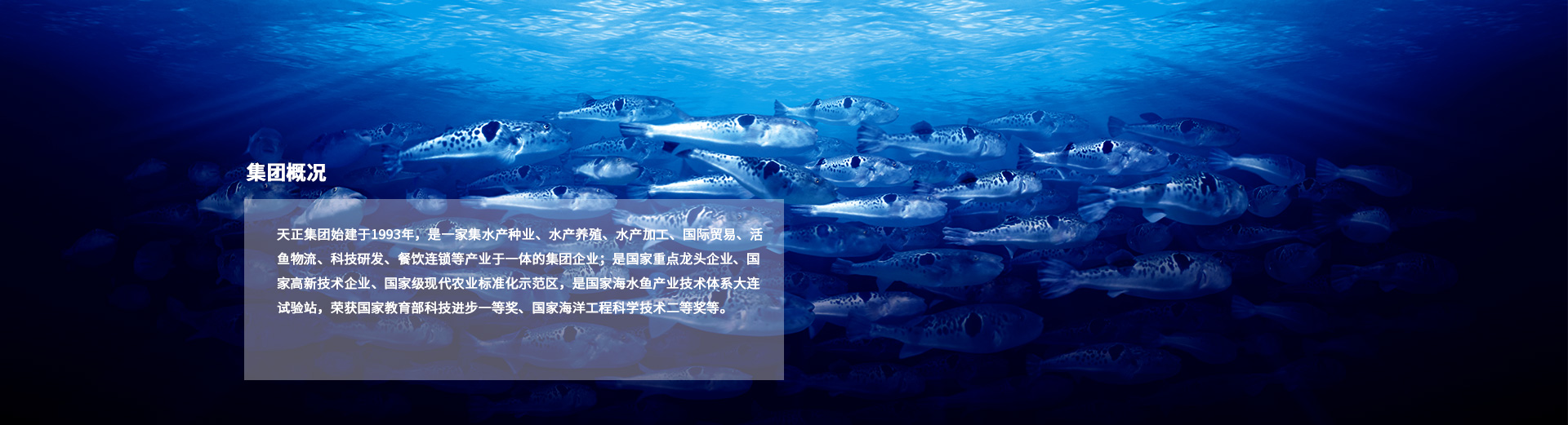 long8-��8(����)Ψһ�ٷ���վ