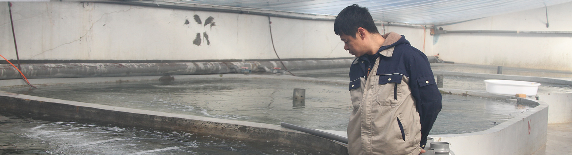 long8-��8(����)Ψһ�ٷ���վ