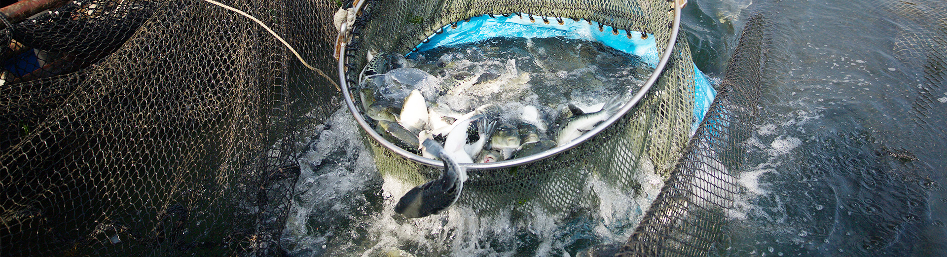 long8-��8(����)Ψһ�ٷ���վ