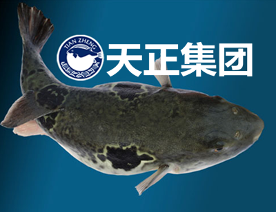 long8-��8(����)Ψһ�ٷ���վ