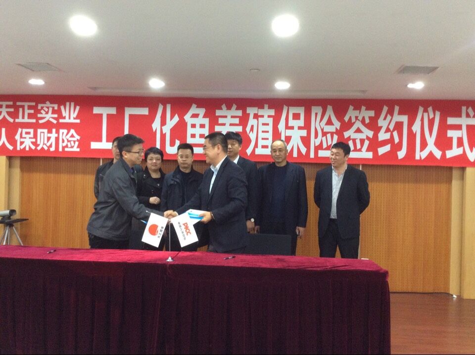 long8-��8(����)Ψһ�ٷ���վ