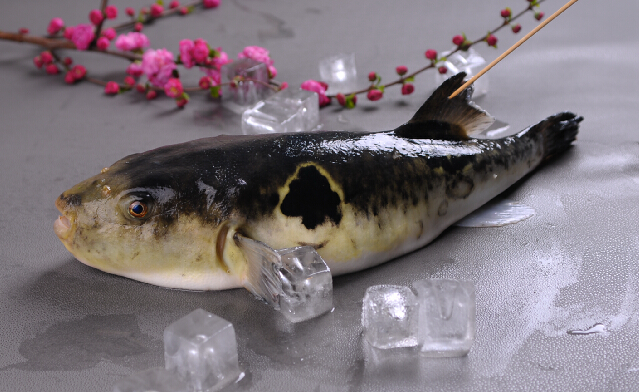 long8-��8(����)Ψһ�ٷ���վ