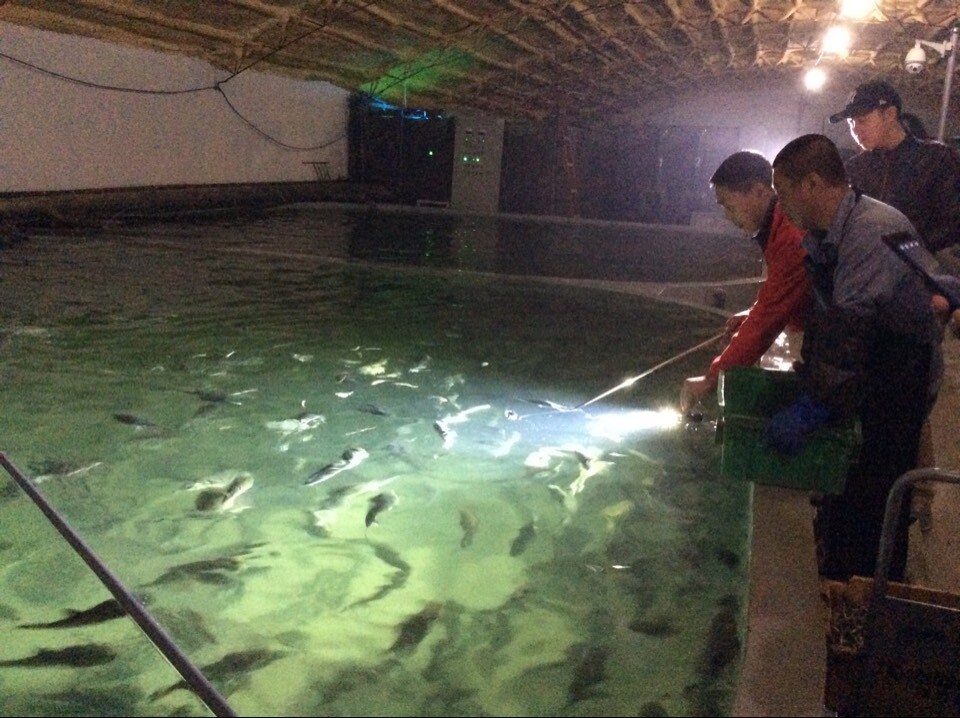 long8-��8(����)Ψһ�ٷ���վ