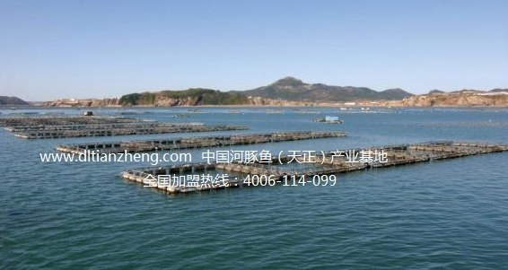 long8-��8(����)Ψһ�ٷ���վ