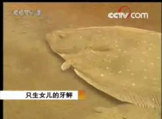 long8-��8(����)Ψһ�ٷ���վ