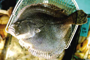 long8-��8(����)Ψһ�ٷ���վ