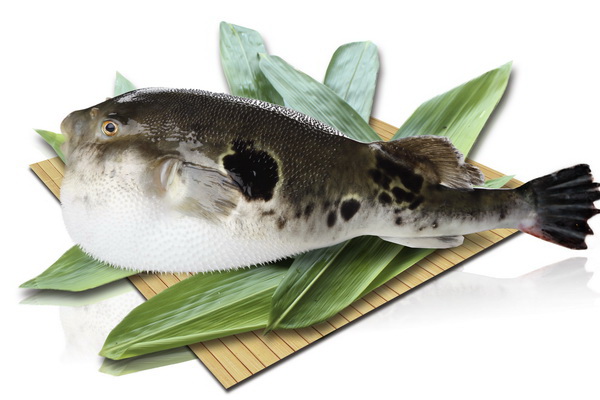 long8-��8(����)Ψһ�ٷ���վ