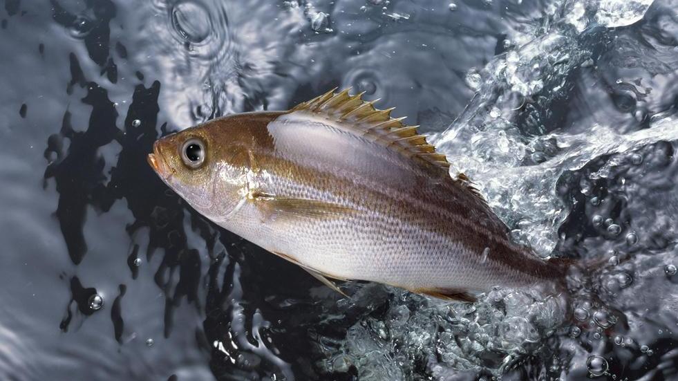 long8-��8(����)Ψһ�ٷ���վ