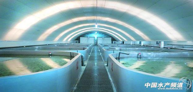 long8-��8(����)Ψһ�ٷ���վ