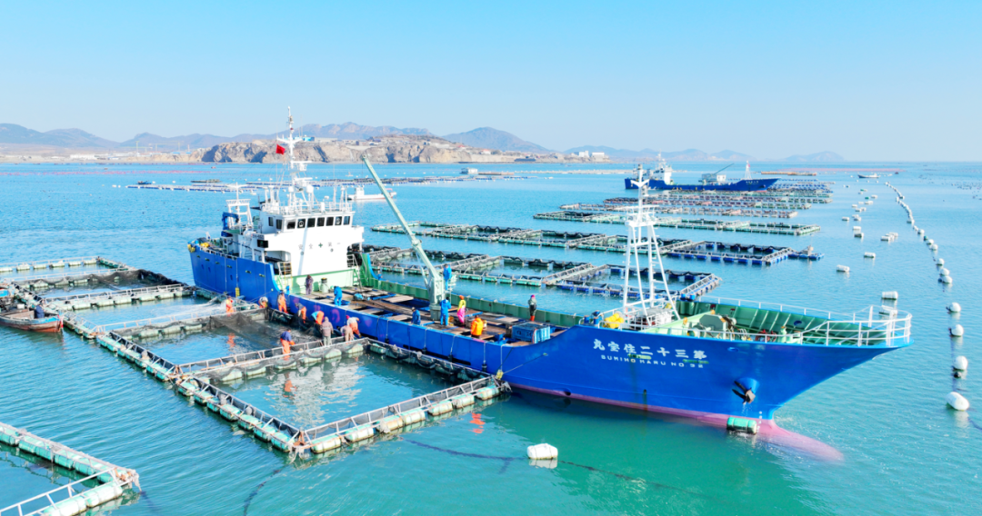 long8-��8(����)Ψһ�ٷ���վ