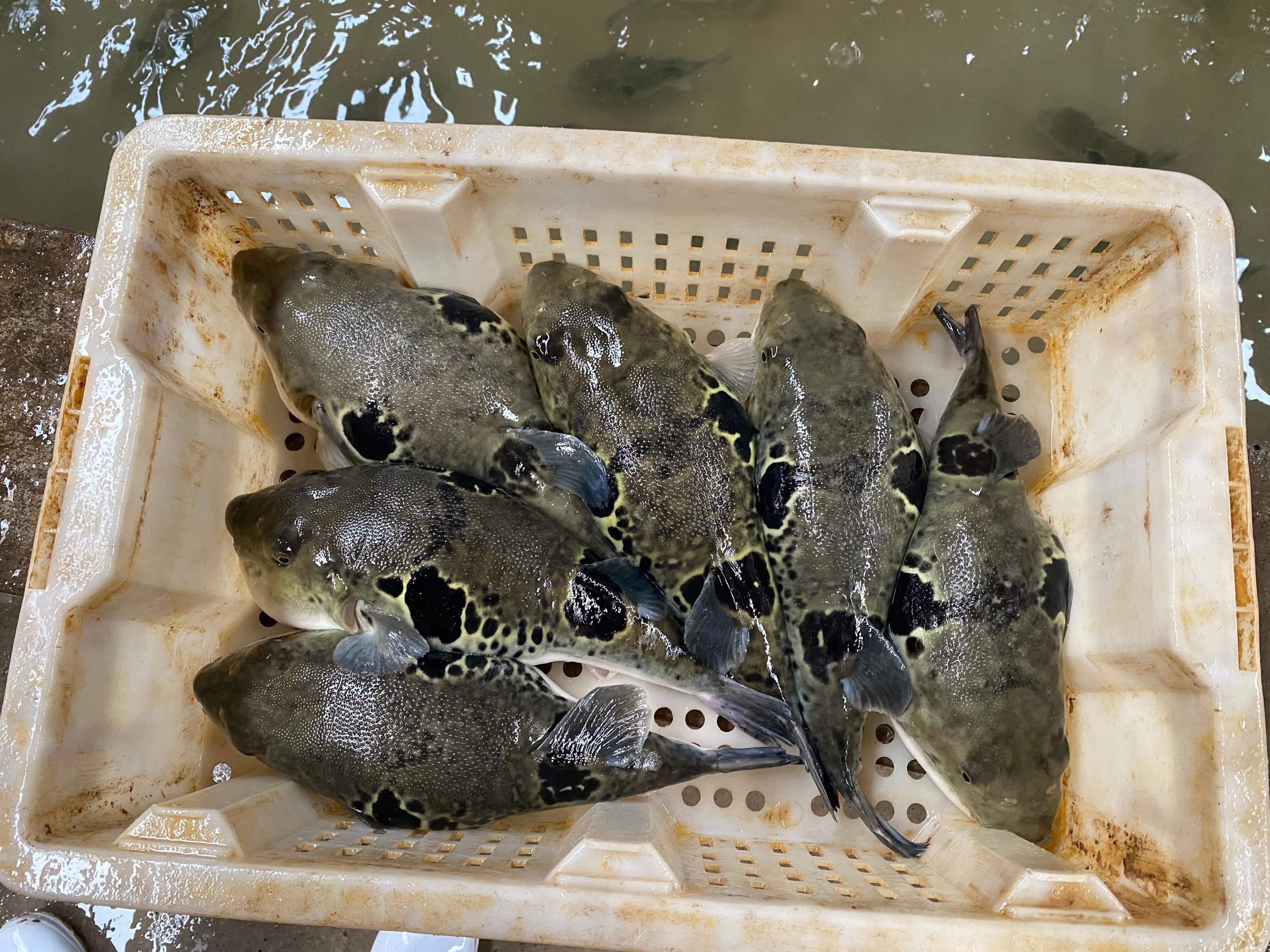 long8-��8(����)Ψһ�ٷ���վ