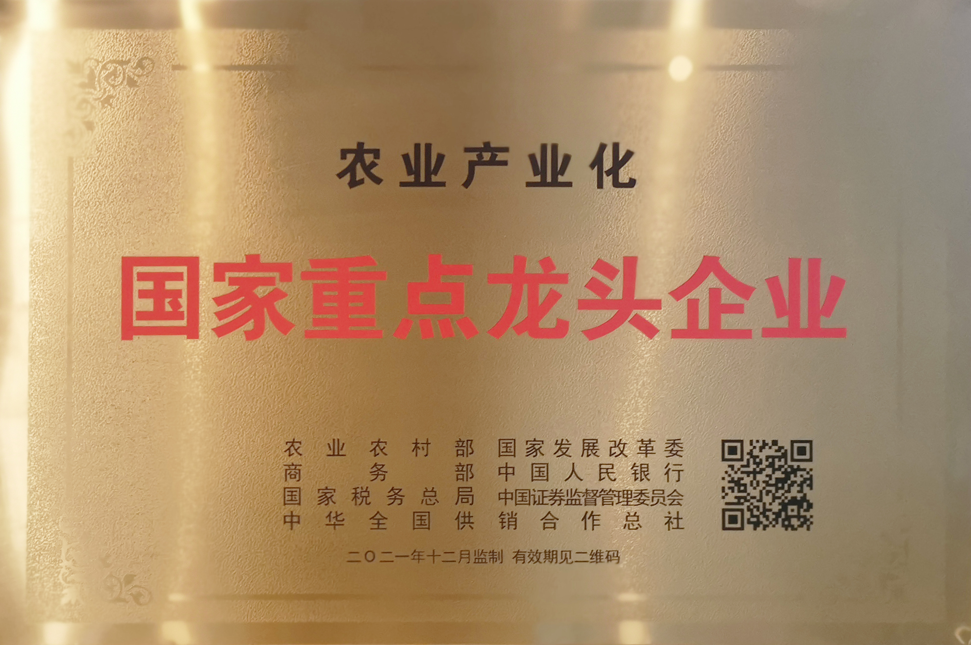 long8-��8(����)Ψһ�ٷ���վ