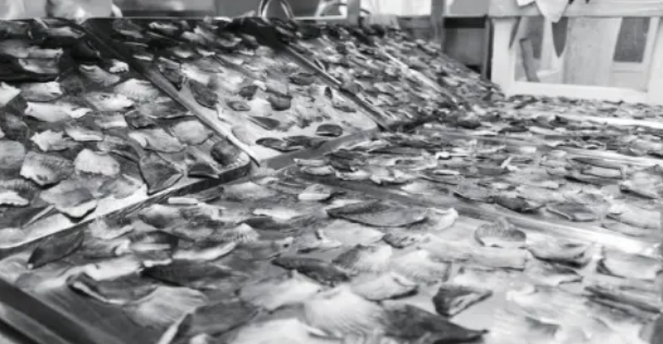 long8-��8(����)Ψһ�ٷ���վ