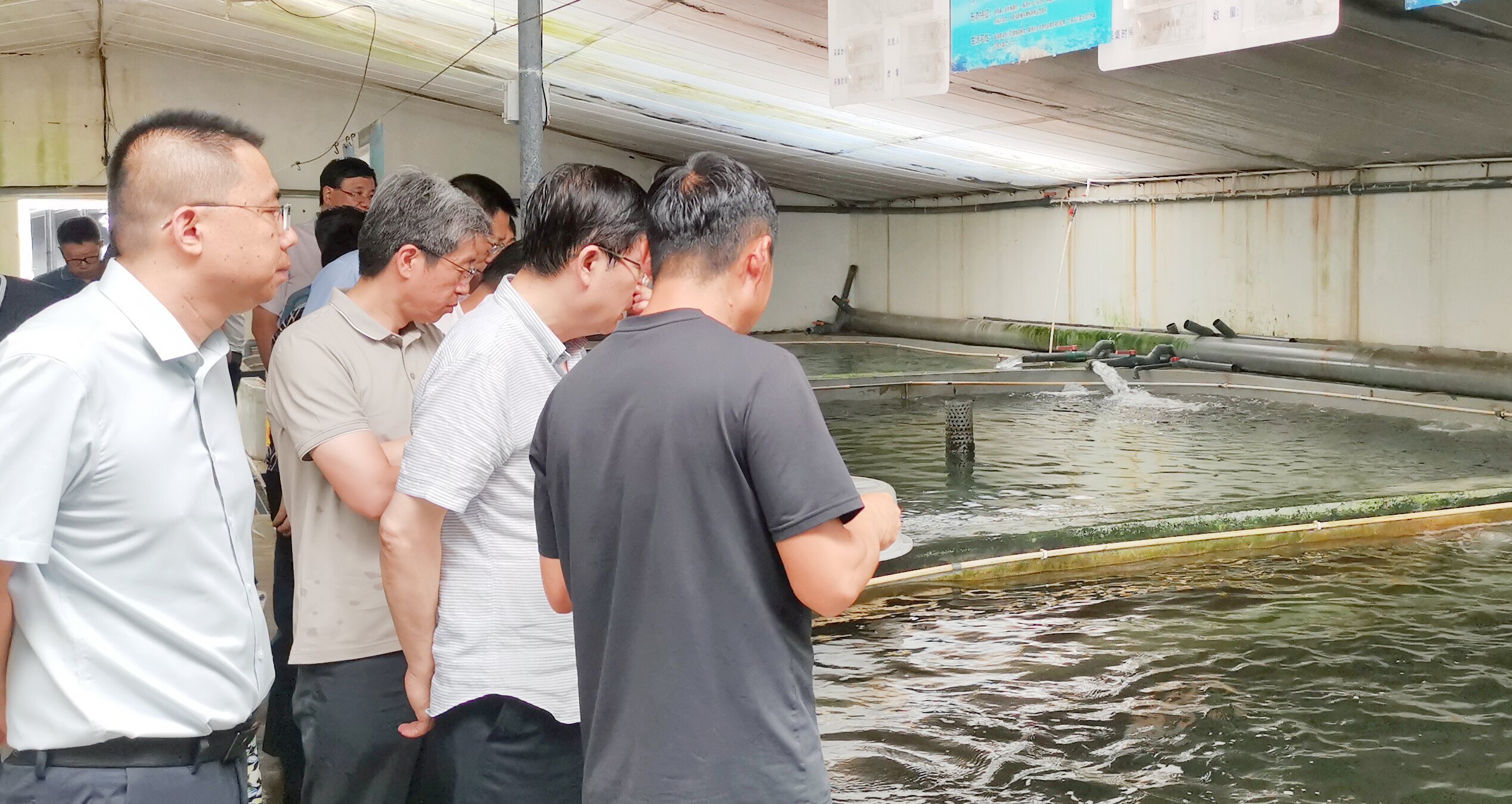 long8-��8(����)Ψһ�ٷ���վ