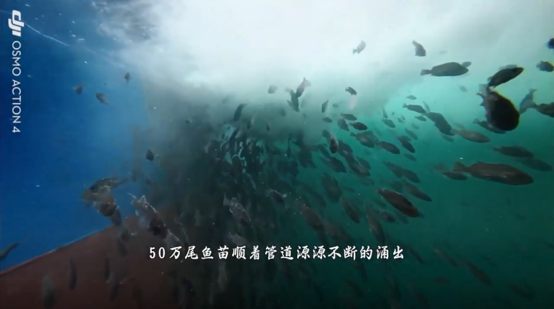 long8-��8(����)Ψһ�ٷ���վ